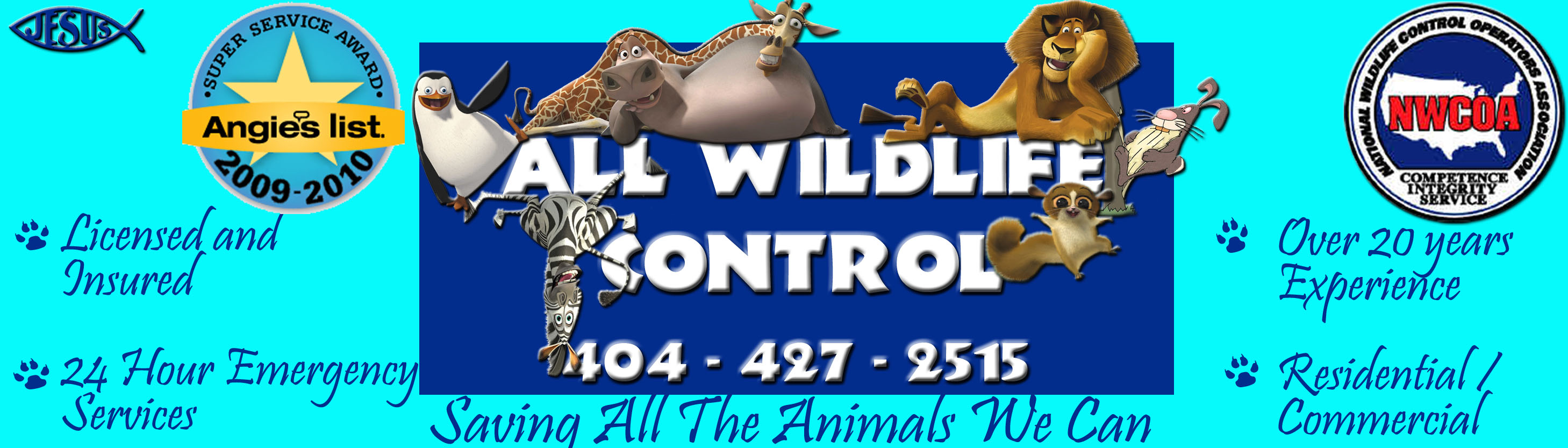 All Wildlife Control